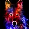Lodka