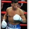 gatti