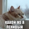 SergeyMZ