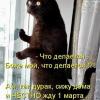 Nikolaevich