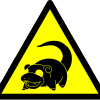 slowbrohd