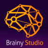 BrainyStudio